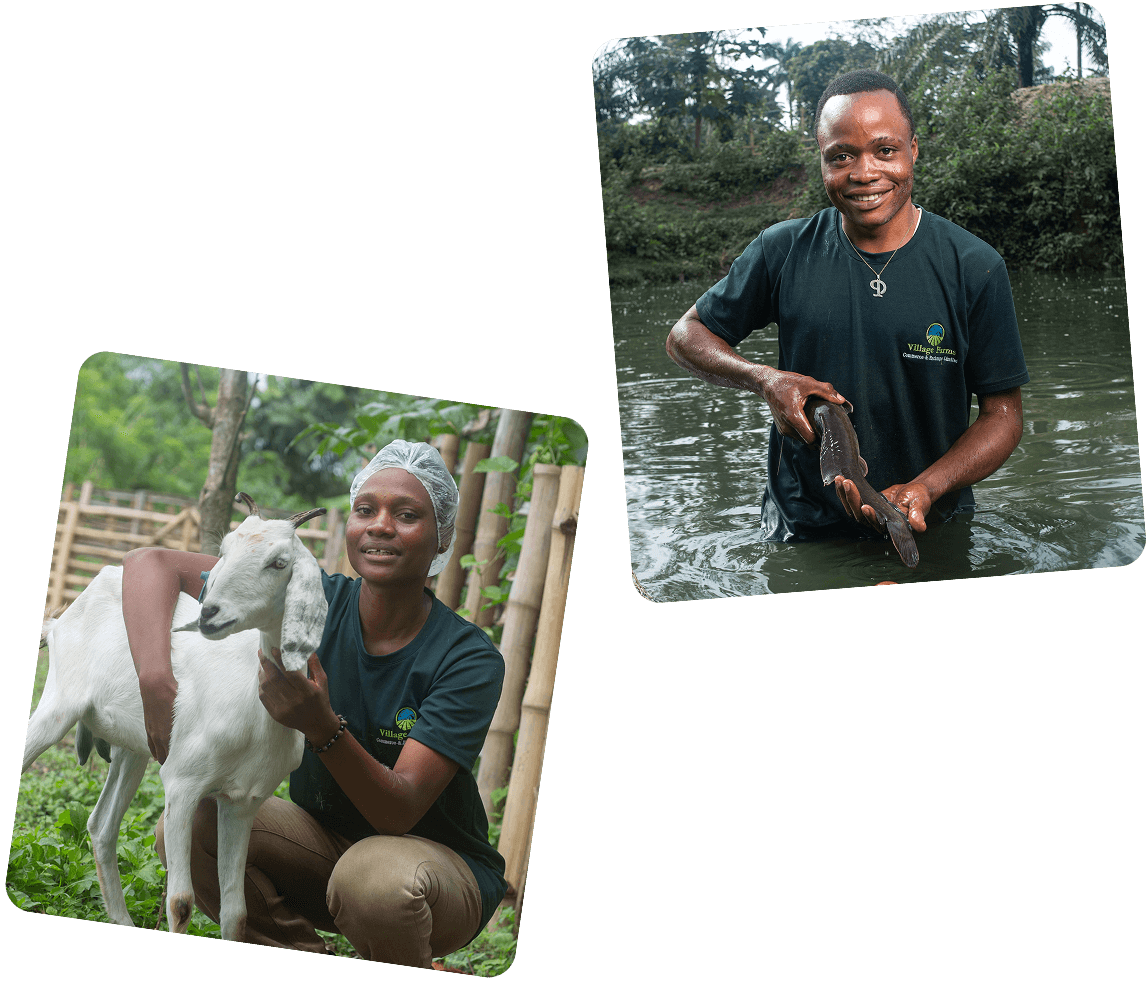 Partnership opportunities with Village Farms